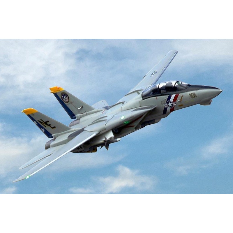 Freewing F-14 Tomcat Twin 80mm EDF Jet – PNP