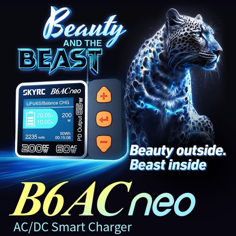 SKYRC B6ACneo S100 AC/DC Smart Charger for 1/14 1/8 1/10 1/12 1/16 RC Truck Remote Control Car Loader Phone 1S-6S LiPo Battery 1PCB6ACneo Smart Charger